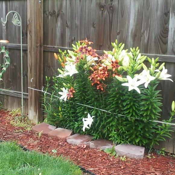 Meet your Posher, Rita - Picture 1 of 1